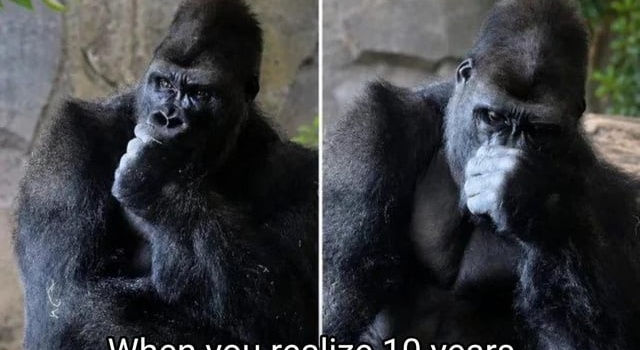 10 Years Later