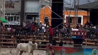 Beef revenge