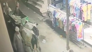 Animal fucking hate us